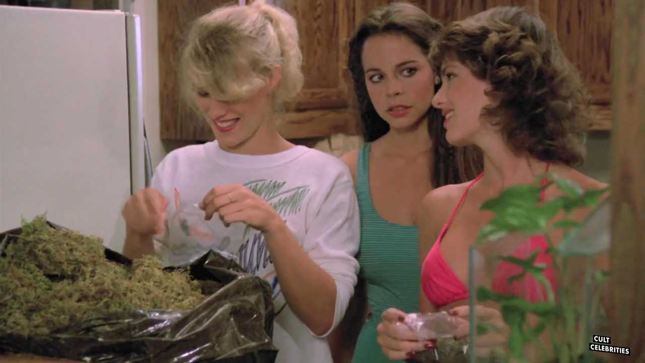 Debra Blee, Jeana Keough and Val Kline in The Beach Girls (1982)