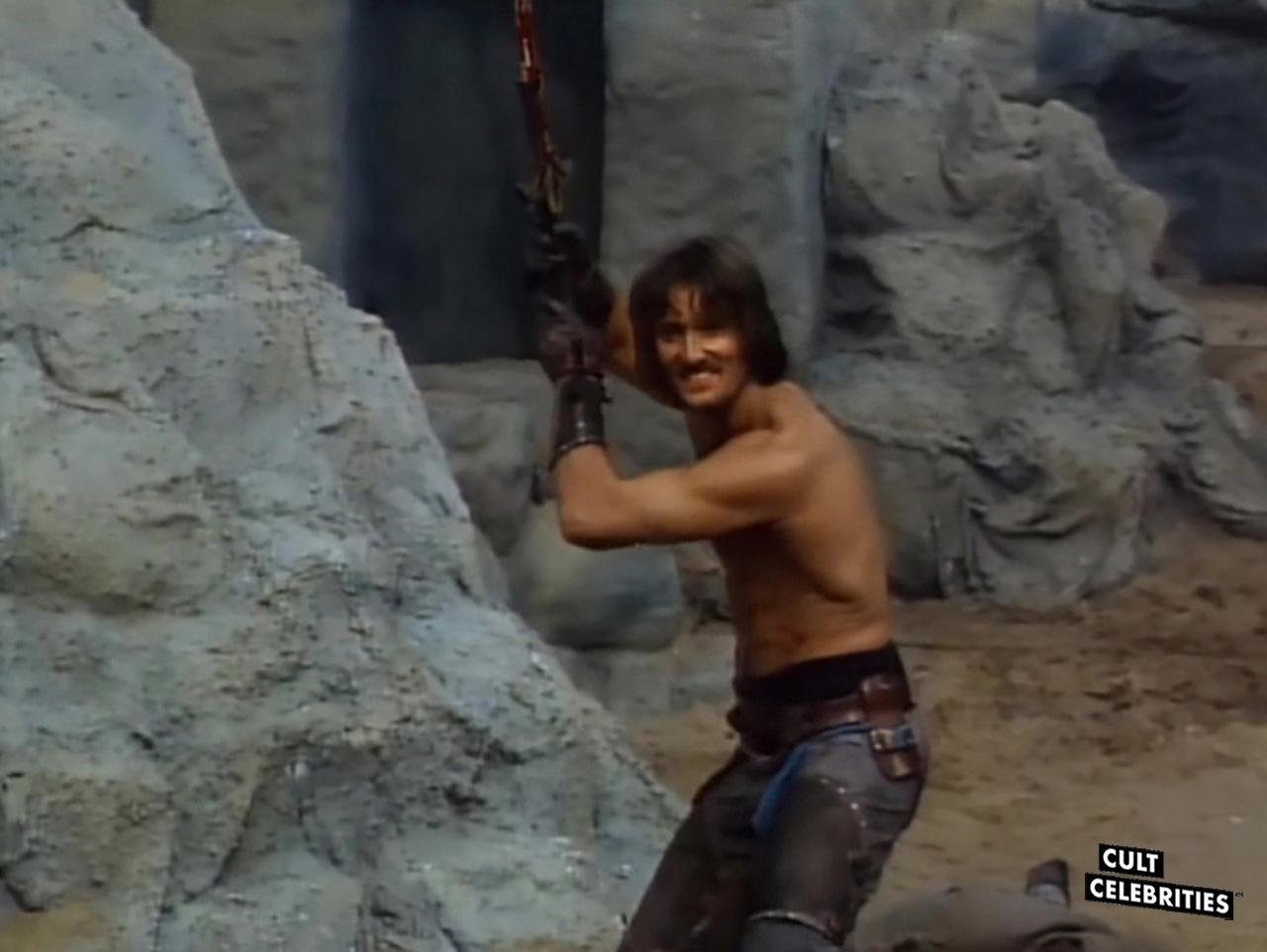 The Warrior and the Sorceress (1984)
