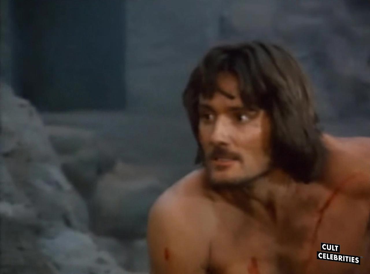 The Warrior and the Sorceress (1984)