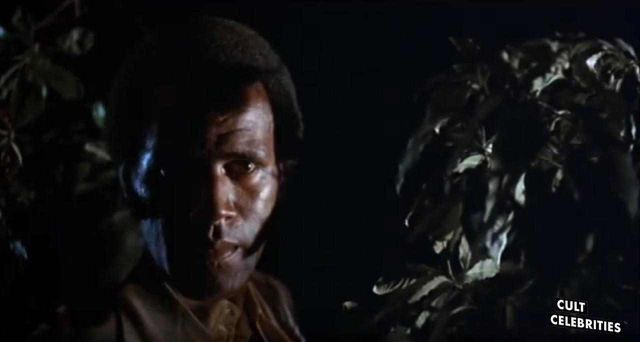 Fred Williamson in Hell Up In Harlem (1973)