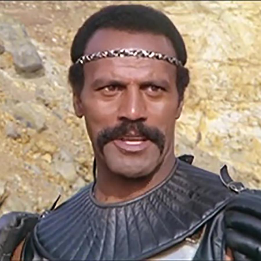 Fred Williamson in Warriors of the Wasteland (1983)