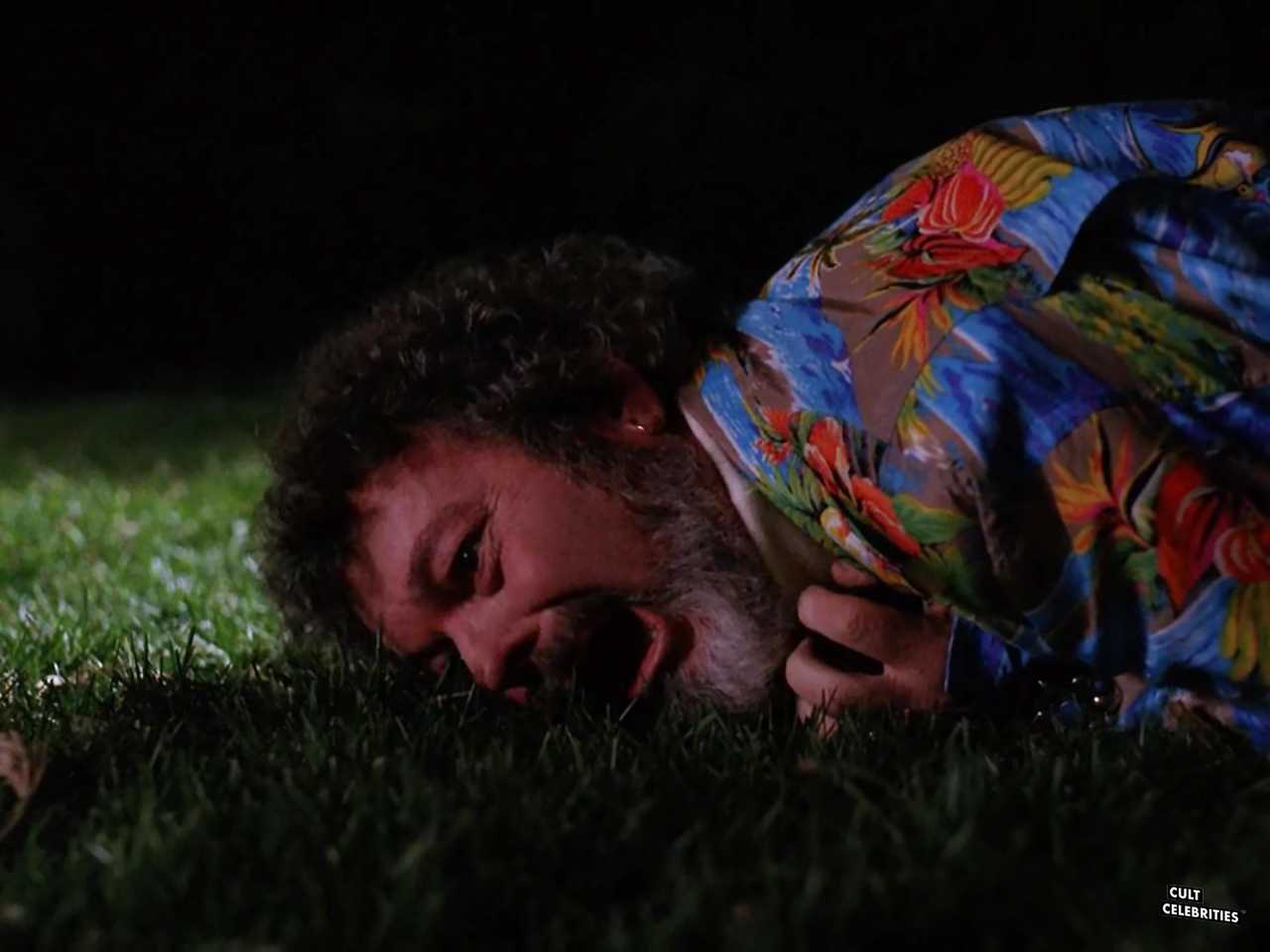 Russ Tamblyn in Twin Peaks (1990)